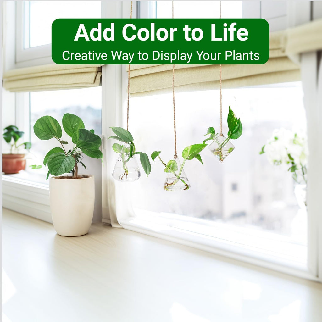 Glass Hanging Planter Plant Terrarium Hanging Propagation Station Container for Hydroponic Plants Home Garden Decor 3 Type