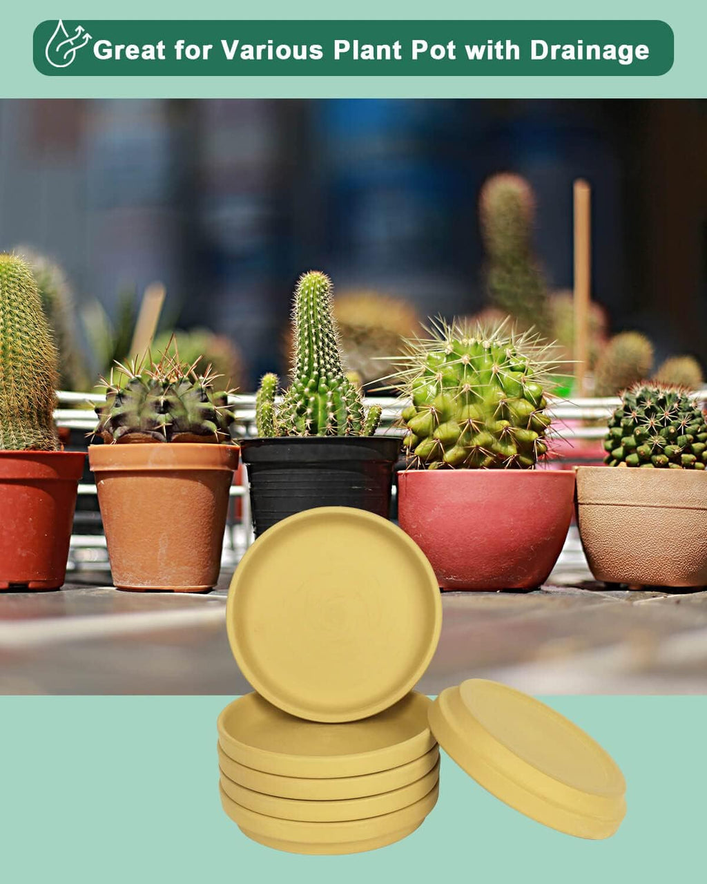 vensovo 6 Inch Yellow Terracotta Plant Saucer Pots Tray - 6 Pcs Round Planter Saucers for Indoor & Outdoor Plants, Small Clay Trays Perfect for 5 Inch 5.5 Inch 6 Inch Flower Pot