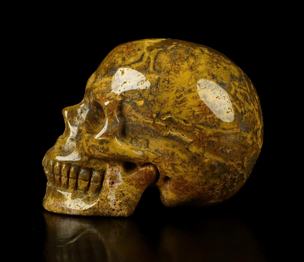 Skullis 2.0” Ocean Jasper Crystal Skull, Hand Carved Gemstone Fine Art Sculpture, Reiki Healing Stone Statue.1410