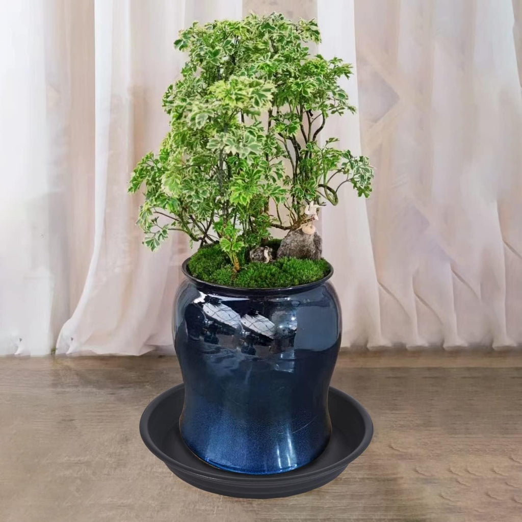 Plant Saucer Pot Tray 4 inch, 6 Packs Plastic Flower Planter Saucers and Drip Trays for Indoors Outdoors, Heavy Durable Plant Plate Water Catcher (Black)