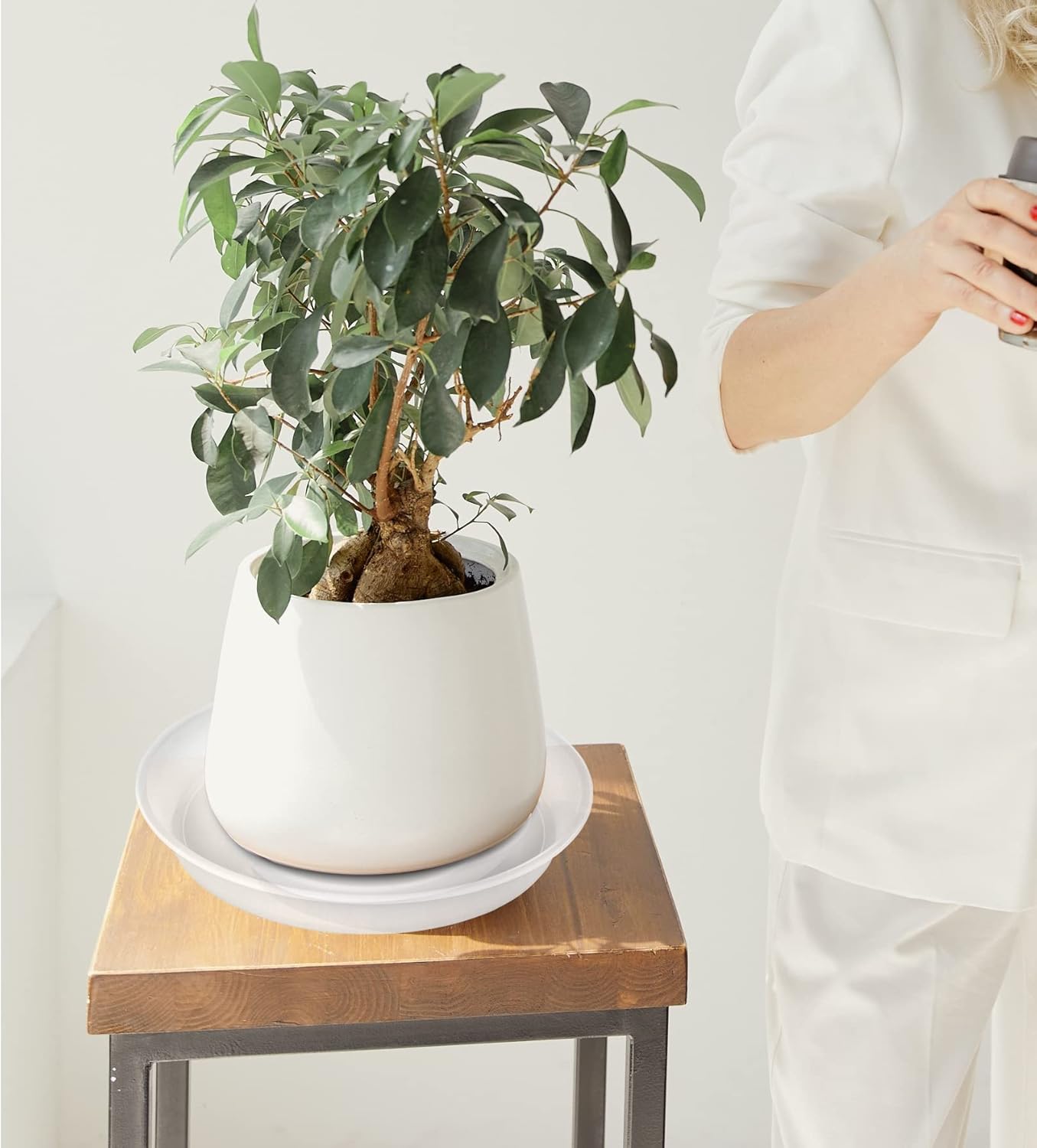 6 Pack Plant Saucer Tray, 4 5 6 8 10 12 13 15 17 19 inch Plant Saucers, Heavy Duty Plastic Plant Drip Trays for Indoors, Flower Plant Water Tray, Plant Trays for Pots Base (6 inch, Clear)