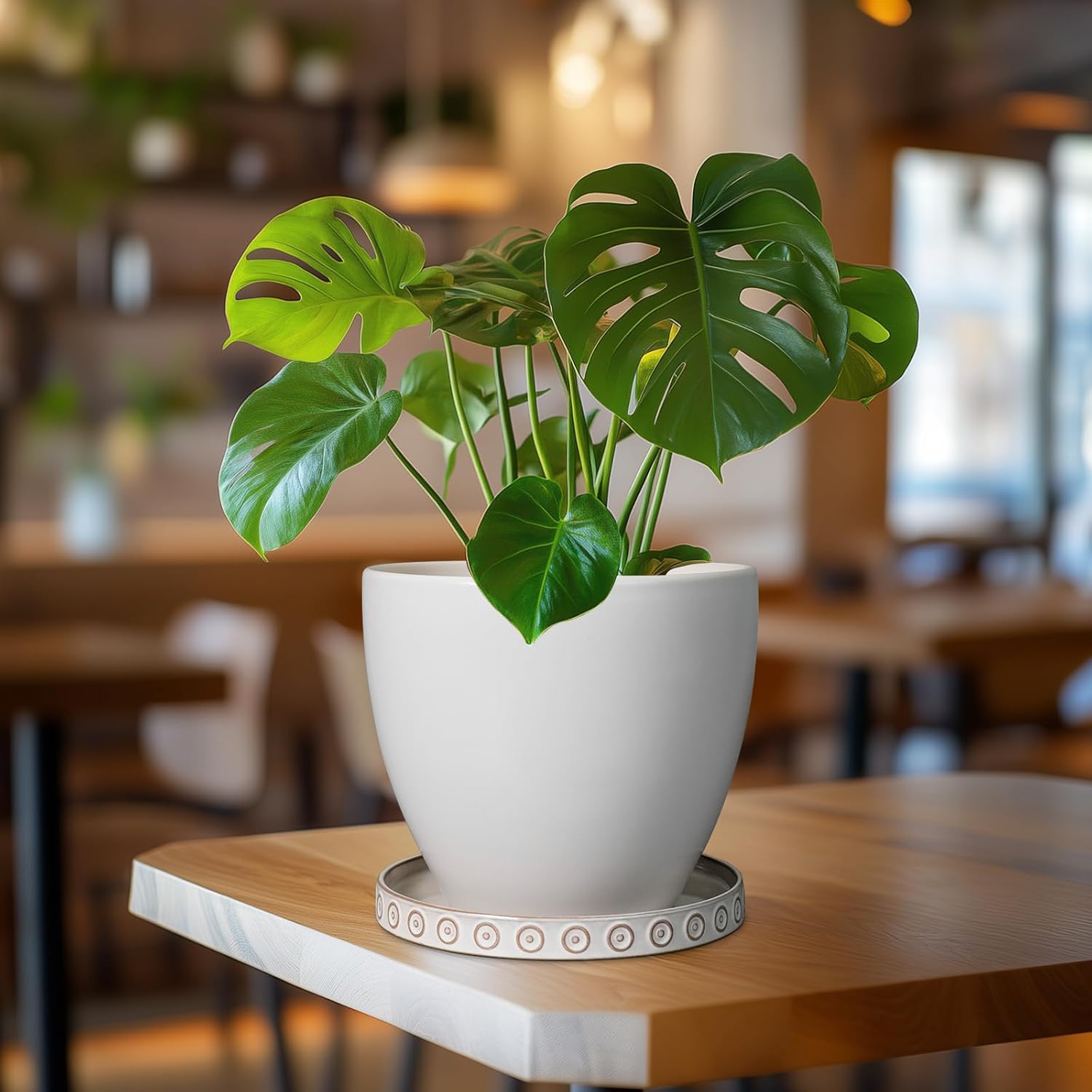 Plant Tray for Pots - Ceramic Plant Saucer for Indoors Outdoors 7.5 Inch Plant Water Catcher Tray Plant Drainage Dray Decorative Flower Pot Saucer Plant Plates to Catch Water White