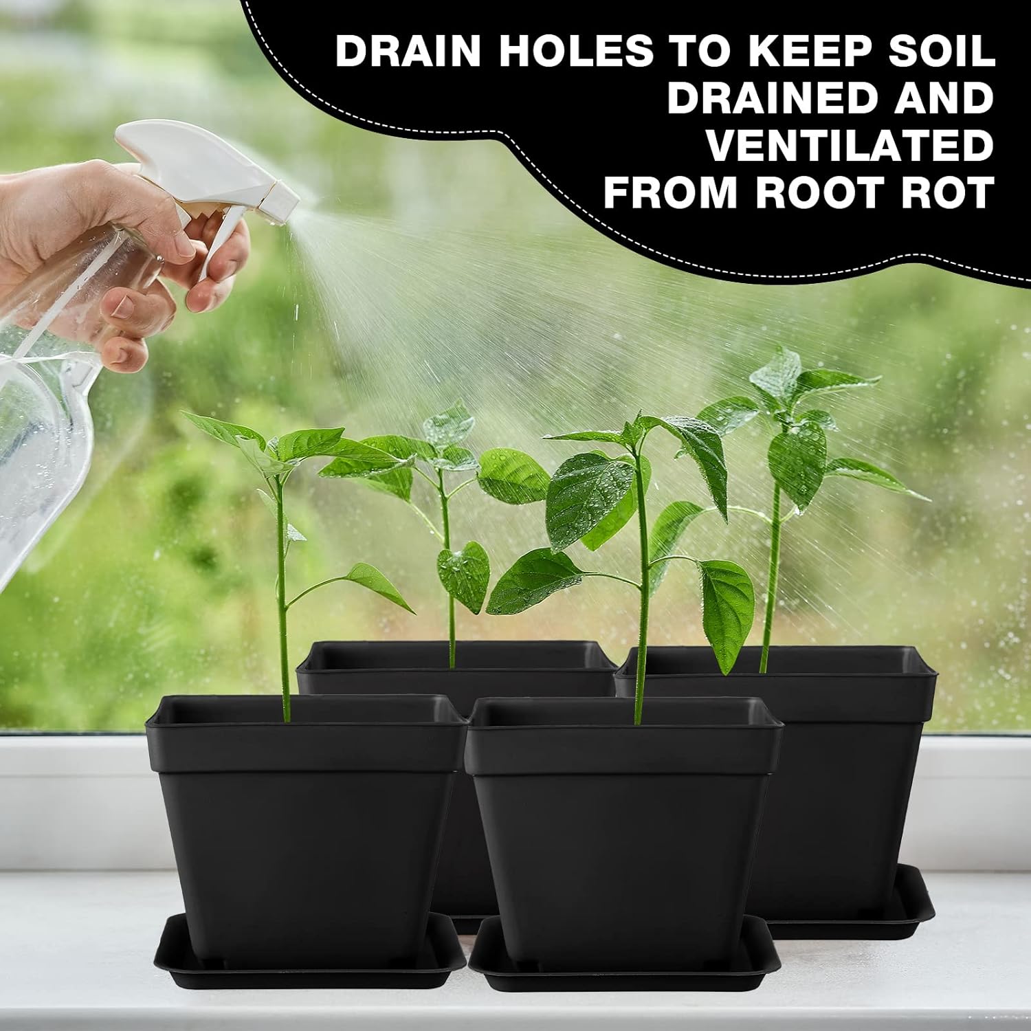 100 Pieces 4 Inch Flower Pots Square Plants Nursery Pot Plastic Plant Seedling Pots Nursery Transplanting Planter Container with Saucer for Indoor Herbs Succulents Balcony Garden Office (Black)