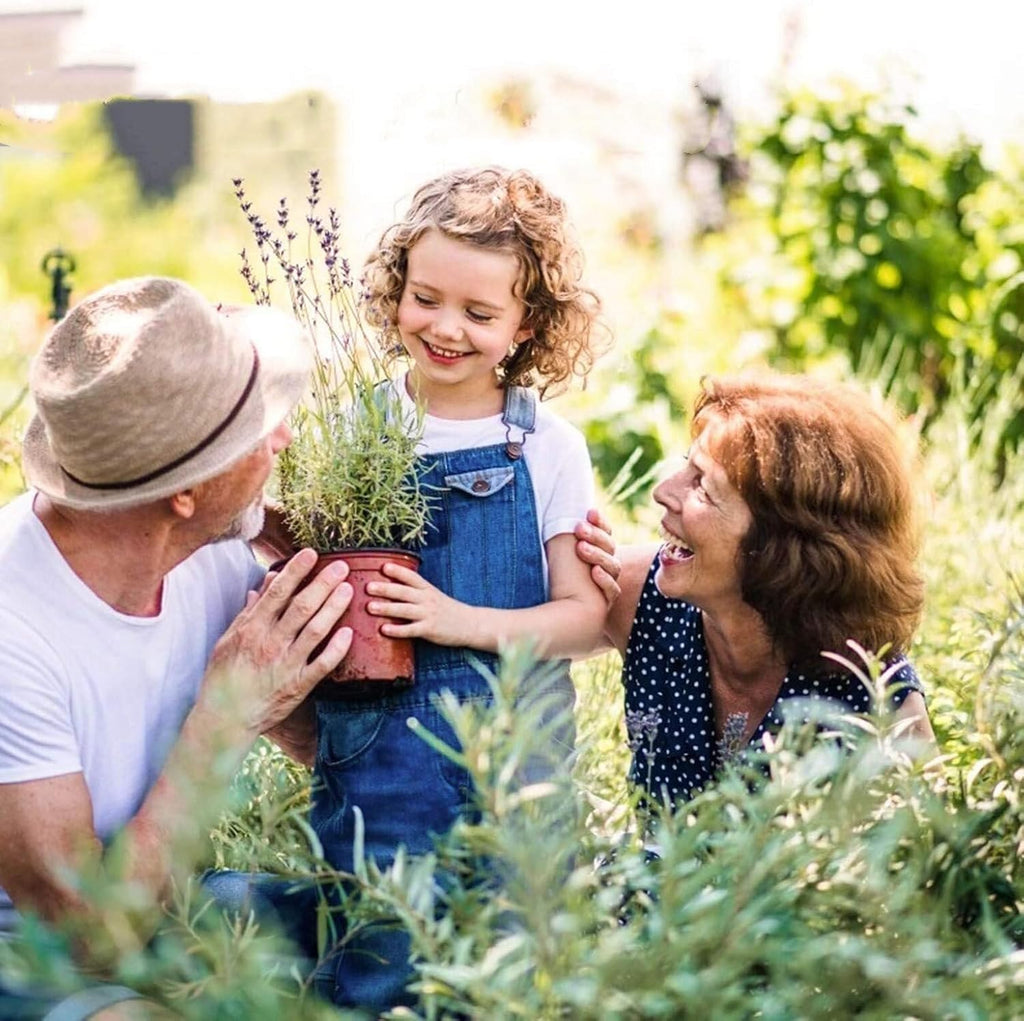 100 PCS 7 Inches Plastic Plant Nursery Pots, Reusable for Succulents, Seedlings, Cuttings, Transplanting,Seedlings Plastic Plant Pots with Drainage Holes