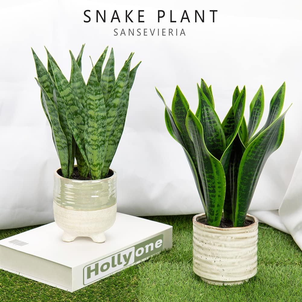 Hollyone Fake Snake Plant 12 Inch Small Artificial Snake Plant Potted with Ceramic Pot Faux Sansevieria Plant for Home Office Room Indoor Decor Housewarming Gifts
