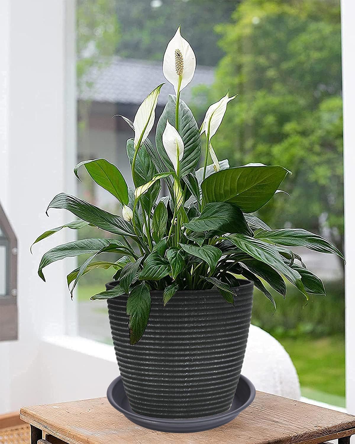 6 Pack Plant Saucer Drip Tray 7 8 inch, Plastic Flower Planter Saucers and Drip Trays for Indoors Outdoors, Heavy Durable Plant Plate Water Catcher, Plant Water Drip Trays for Pots (8", Dark Gray)