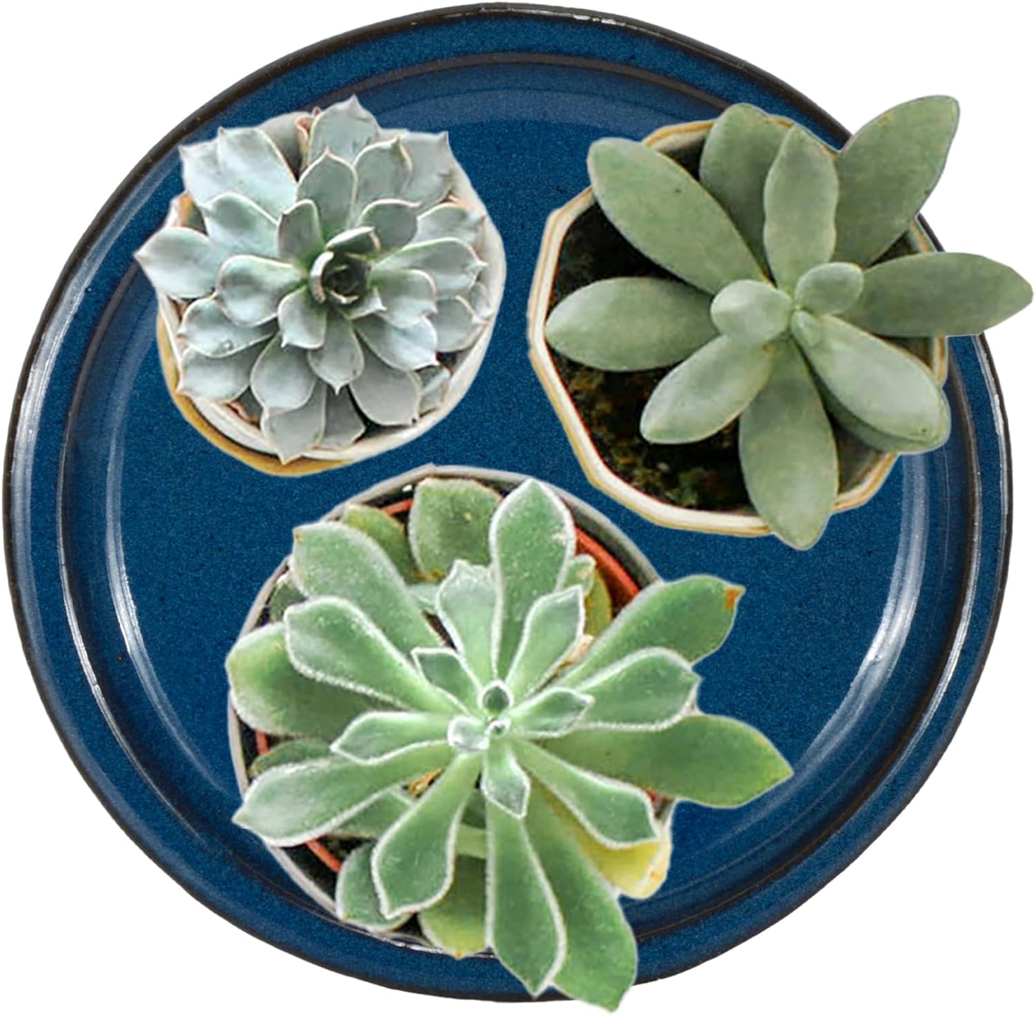 W&W Ceramic Plant Saucer - Plant Trays for Indoor Pots (Blue, 8 inches, 2 Packs)