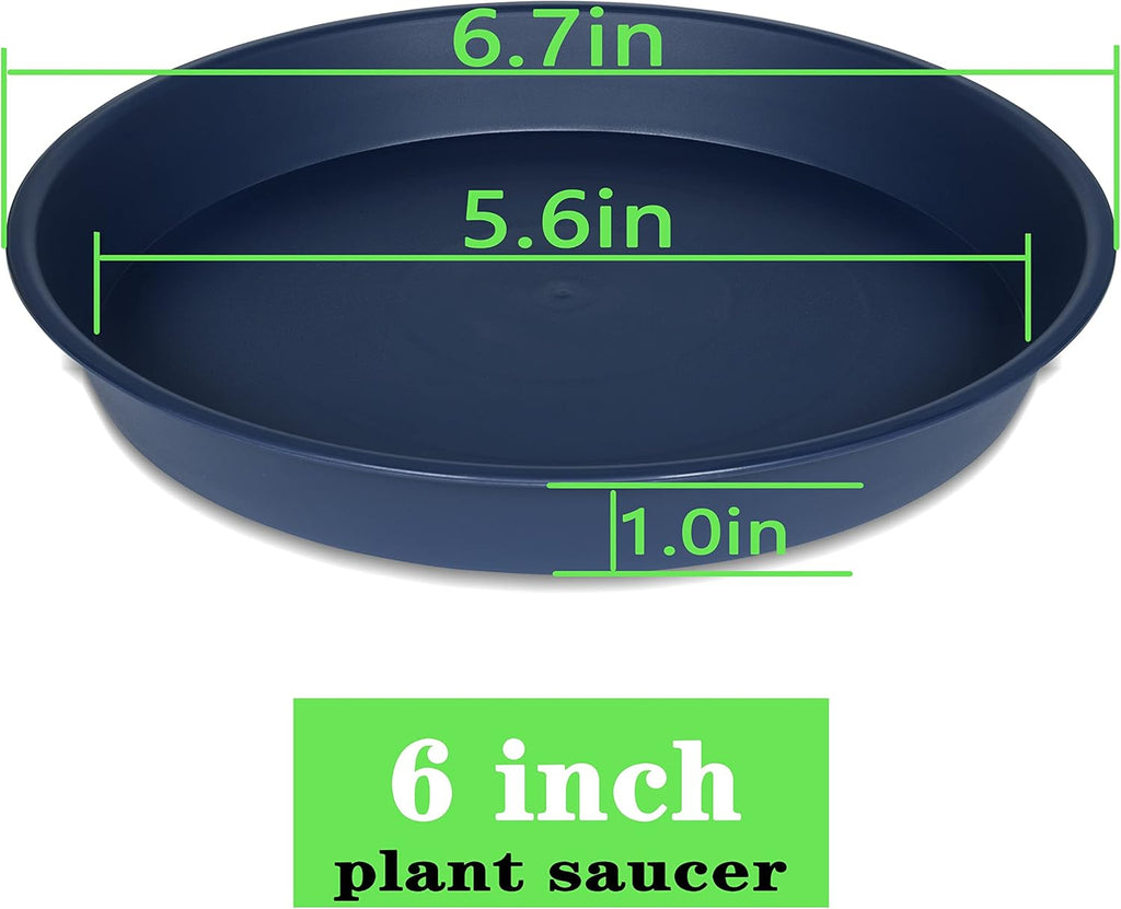 6 Pack Plant Saucer Drainage Tray, Plastic Plant Water Tray, 6 inch Flower Saucers for Indoors, Plant Dishes for Pots Base (6 inch, Blue)