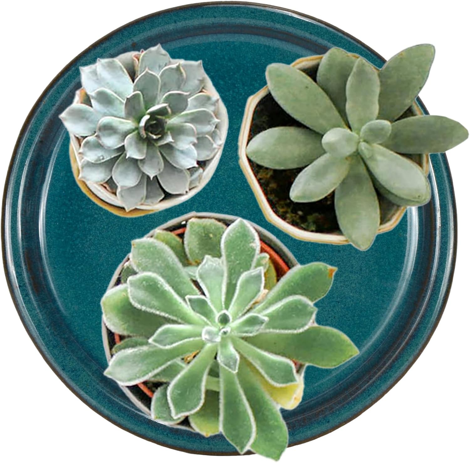 W&W Ceramic Plant Saucer - Plant Trays for Indoor Pots (Teal, 13 inches, 2 Packs)