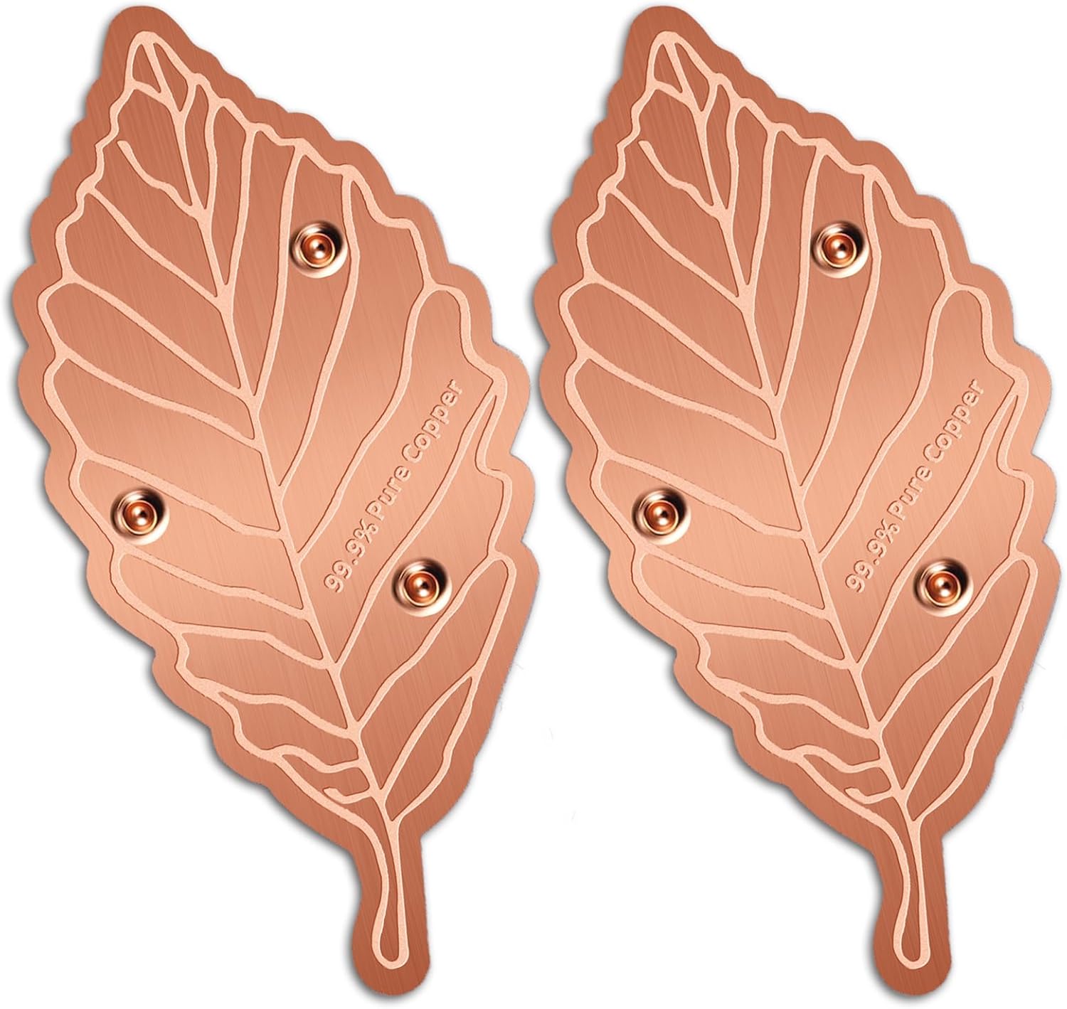 Bird Bath Copper Disk,Bird Bath Purification Disk 0.6mm Reinforced 99.99% Pure Copper Cleaning Disk with 3-Point Support,Fits Outdoor Birdbath & Bowl,Provide Safe Clean Water,Leaf-2Pcs