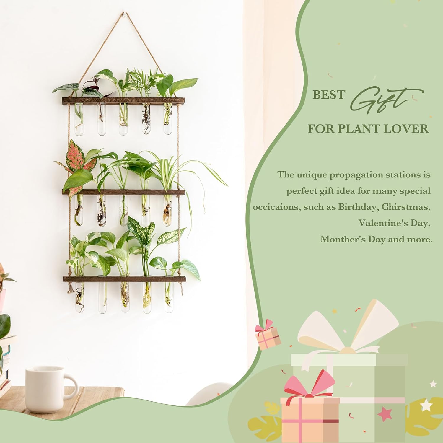 Mkono Plant Propagation Tubes, 3 Tiered Wall Hanging Terrarium with Wooden Stand Mini Test Tube Flower Vase Glass Planter Stations for Hydroponic Cutting Home Garden Office Decor Plant Lover Gift