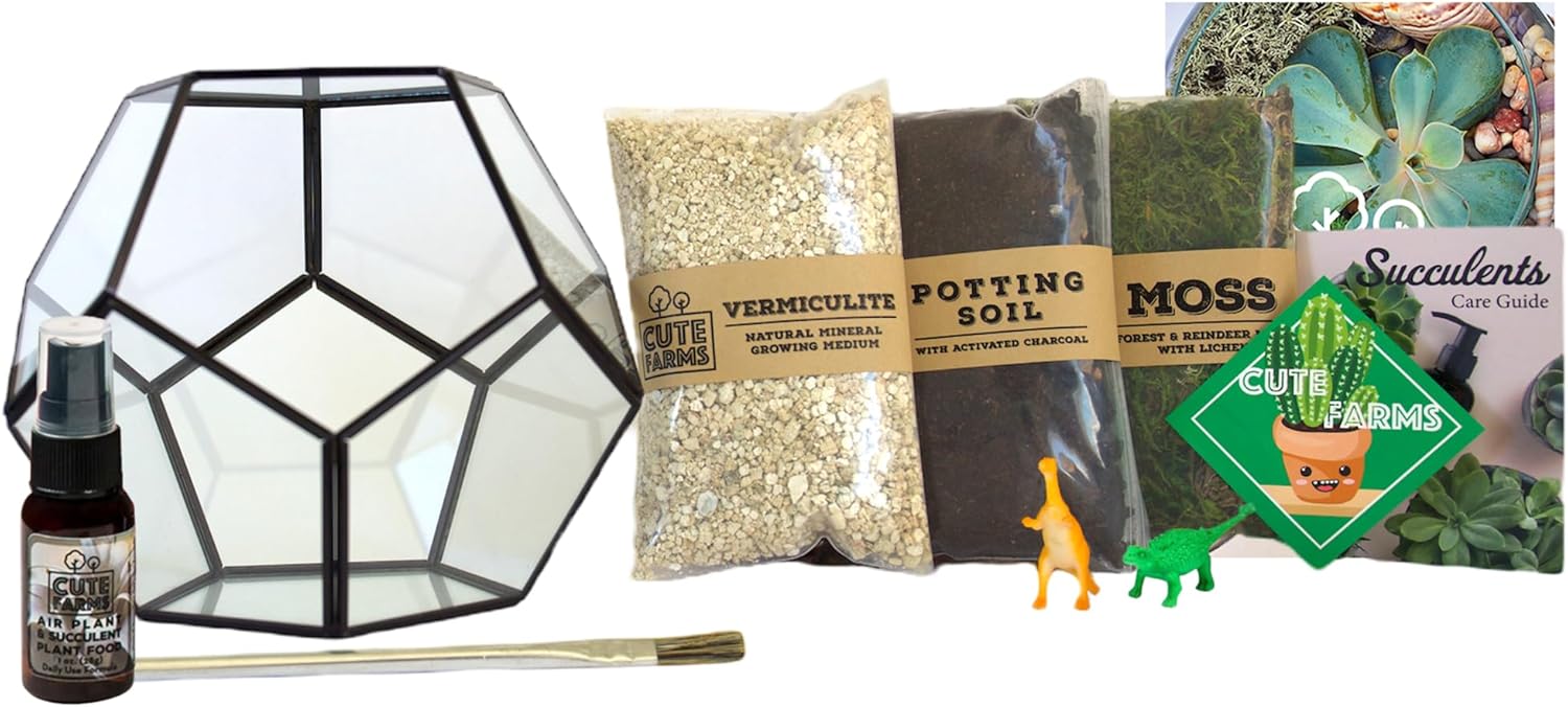Cute Farms Glass Terrarium Kit | Just Add Your Own Plants (Geometric Glass + Live Plants)