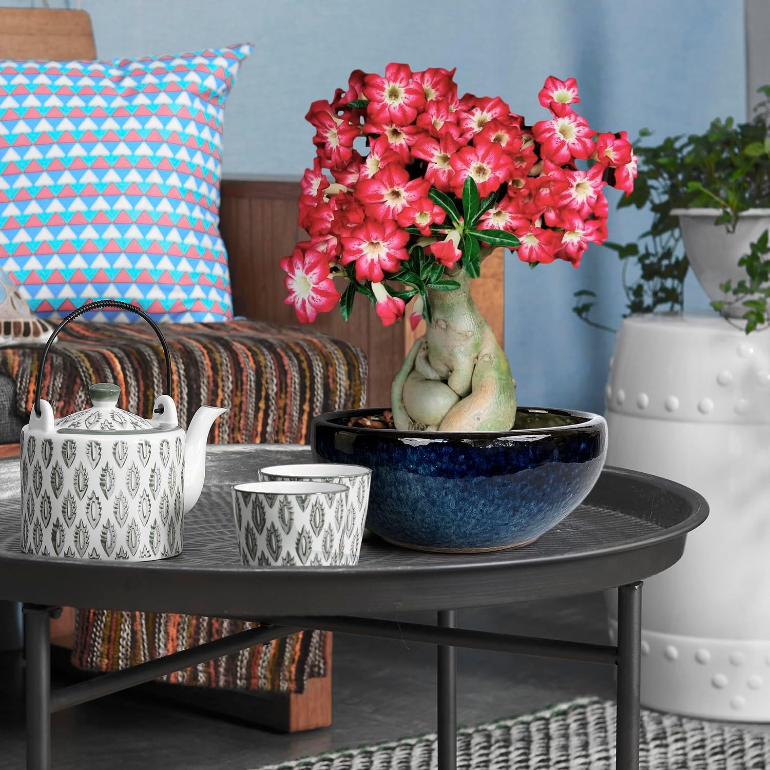 11 9 7 Inch Succulent Pot with Drainage and Mesh Pads Large Round Ceramic Plant Pot for Indoor Outdoor Plants Succulent Planter Cactus Bonsai Pot Container Set of 3 (Blue)