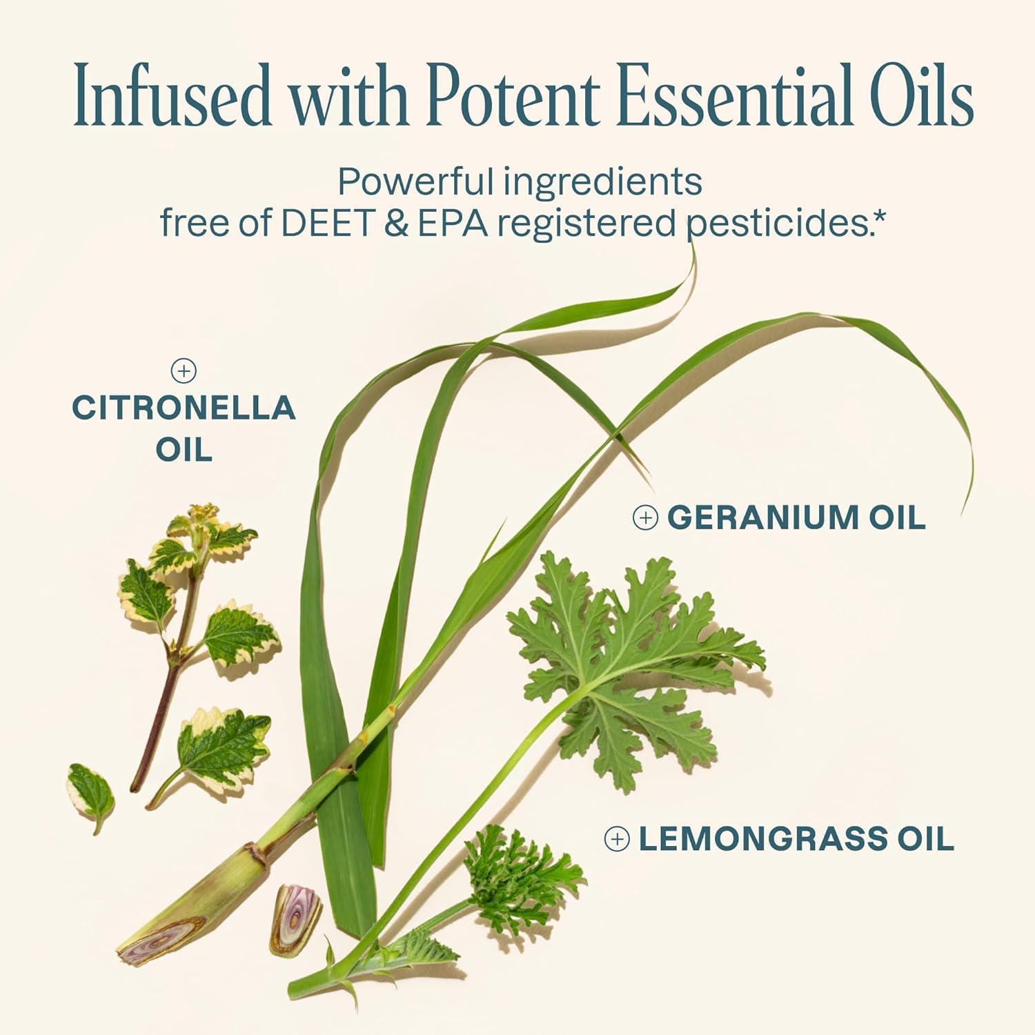 Cliganic 20 Pack Mosquito Repellent Bracelets for Adults & Kids - Natural DEET-Free Bands, Individually Wrapped