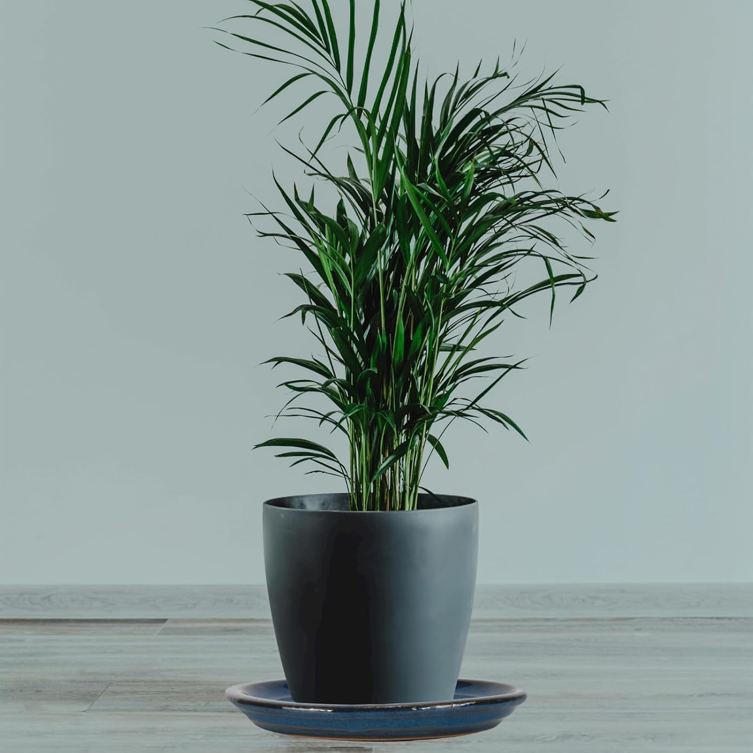 W&W Ceramic Plant Saucer - Plant Trays for Indoor Pots(Blue, 13 inches, 2 Packs)