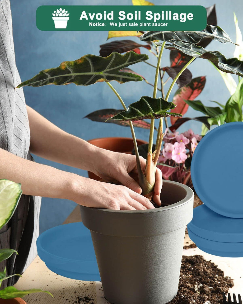 vensovo 8 Inch Steel Blue Terracotta Plant Saucer Pots Tray - 4 Pcs Round Planter Saucers for Indoor & Outdoor Plants, Large Clay Trays Perfect for 7 Inch 7.5 Inch 8 Inch Flower Pot