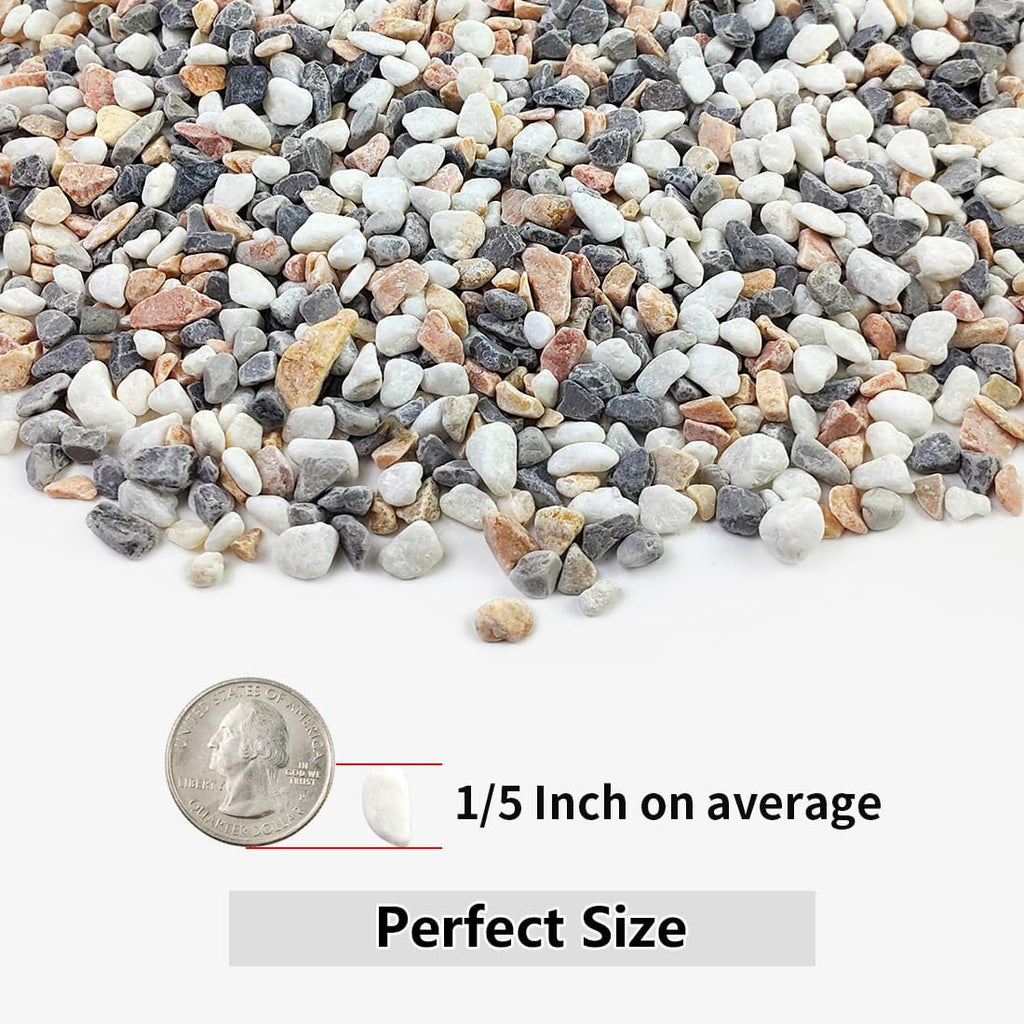 10LB Succulent and Cactus Gravel Pebbles, 1/5 Inch Natural Decorative Polished Stones, River Rocks for Plants, Vases, Aquariums, Terrarium and Outdoor Gardening,Mixed Color