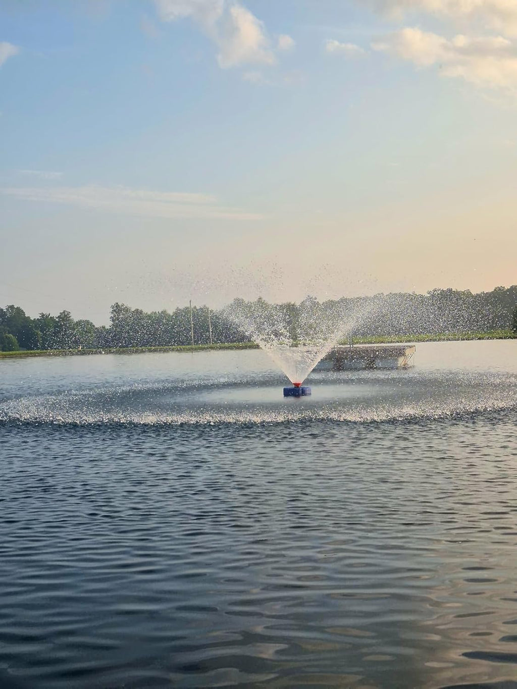 Pond Fountain Aerator, 1HP 110V 750W Floating Water Pump Fit for Large Small Outdoor Ponds Lakes w/ 100 FT Power Cord Timer 15000 GPH - Replace 30 ft Diameter Aerating Outdoor Ponds