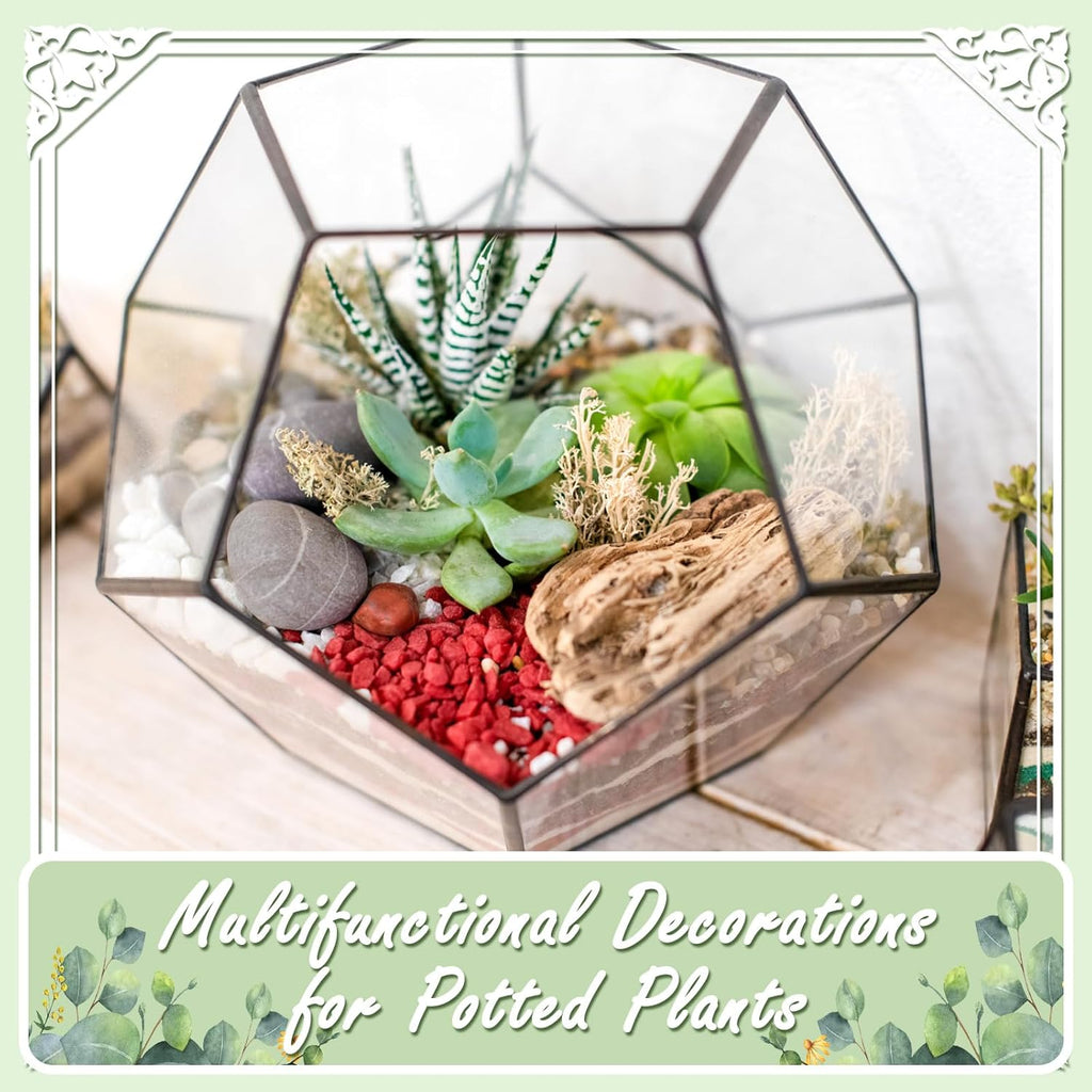 11LB Stones Pebbles River Rocks, Natural Hand-Picked Premium Decorative Pebbles, Ideal for Garden Landscaping, Home Decor, Aquariums, Painting, Crafting and Gifts, Mixed Colors