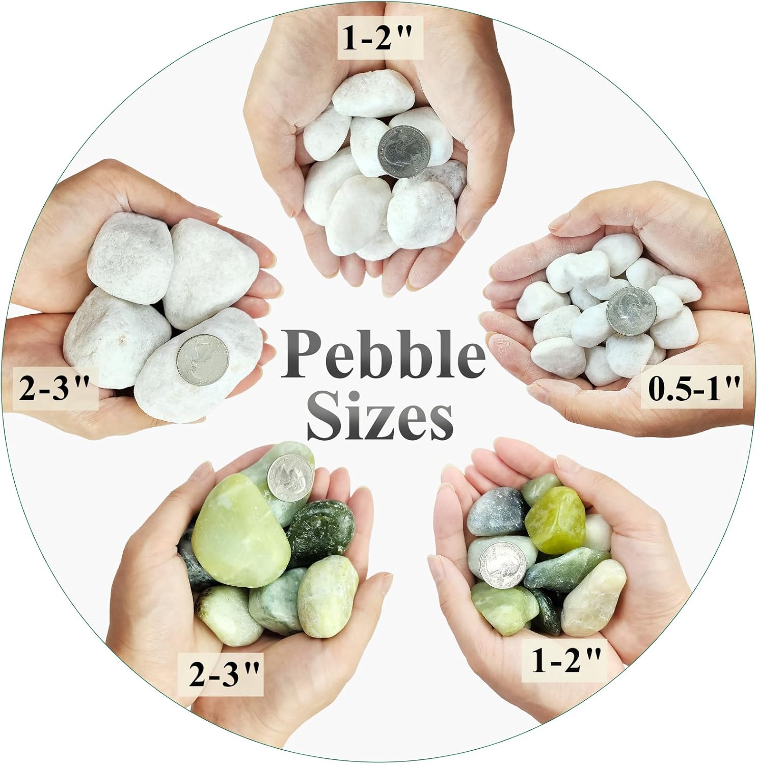 10 lbs White River Rocks for Garden, 0.5-1 Inch Pebbles for Indoor Plants, Decorative Stones for Landscaping, Succulent, Vases, Aquariums and Zen Garden
