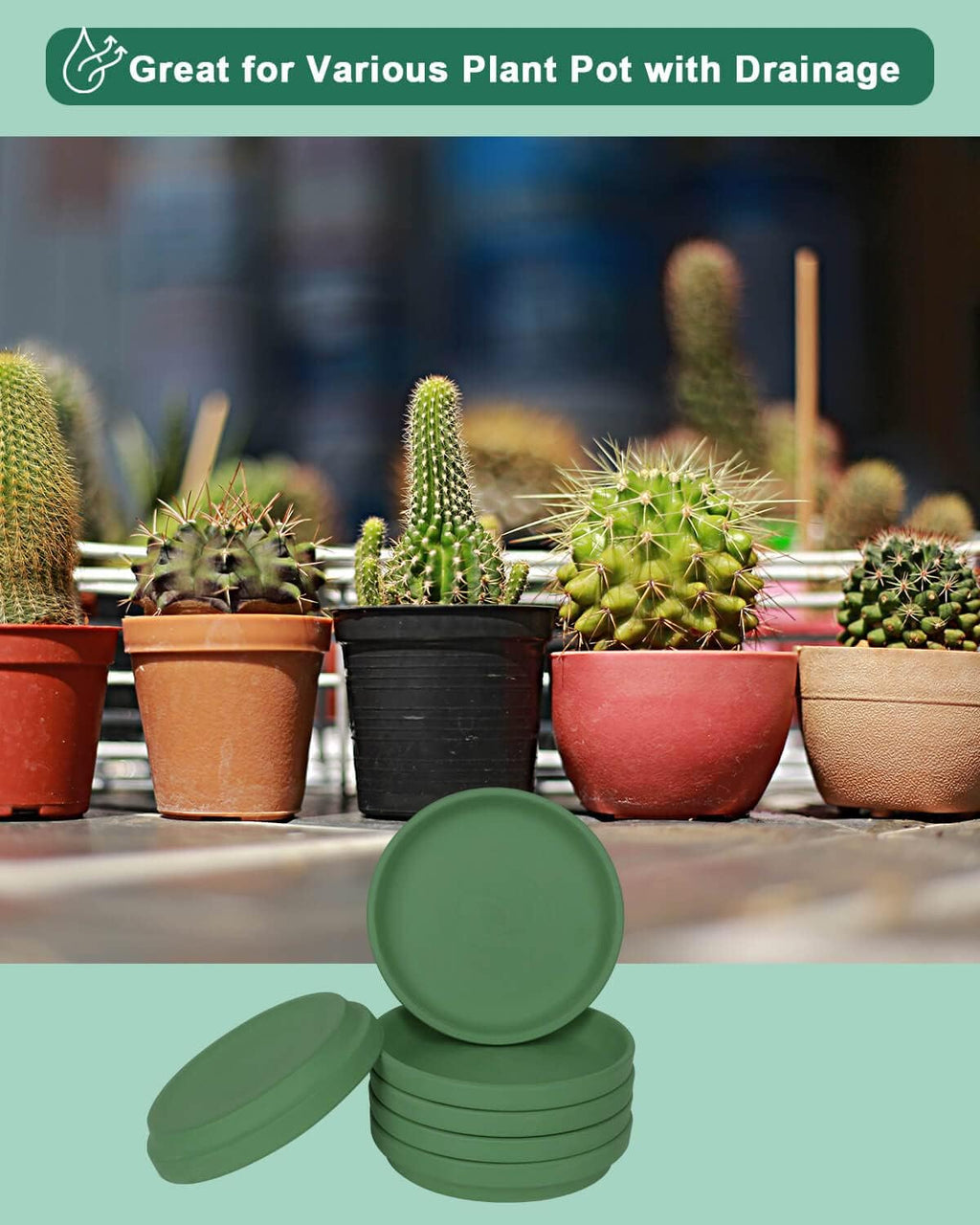 vensovo 6 Inch Green Terracotta Plant Saucer Pots Tray - 6 Pcs Round Planter Saucers for Indoor & Outdoor Plants, Small Clay Trays Perfect for 5 Inch 5.5 Inch 6 Inch Flower Pot