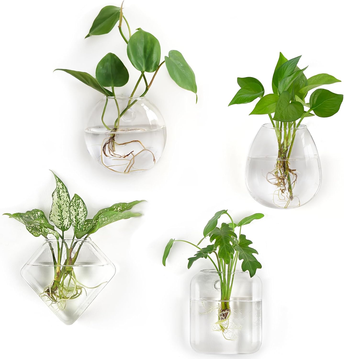 Mkono Propagation Wall Hanging Planter Glass Terrarium Flower Vases Holder for Indoor Plants, Home Living Room Office Decor Plant Lover Gifts, Set of 4