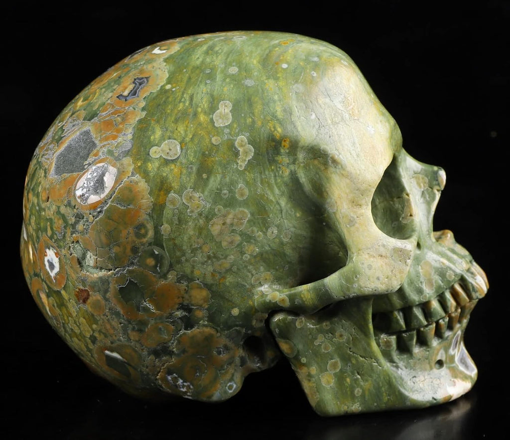 Skullis 5.0” Rainforest Jasper Hand Carved Crystal Skull, Super Realistic, Crystal Healing, Hand Carved Gemstone Fine Art Sculpture, Reiki Healing Stone Statue.377 Z8