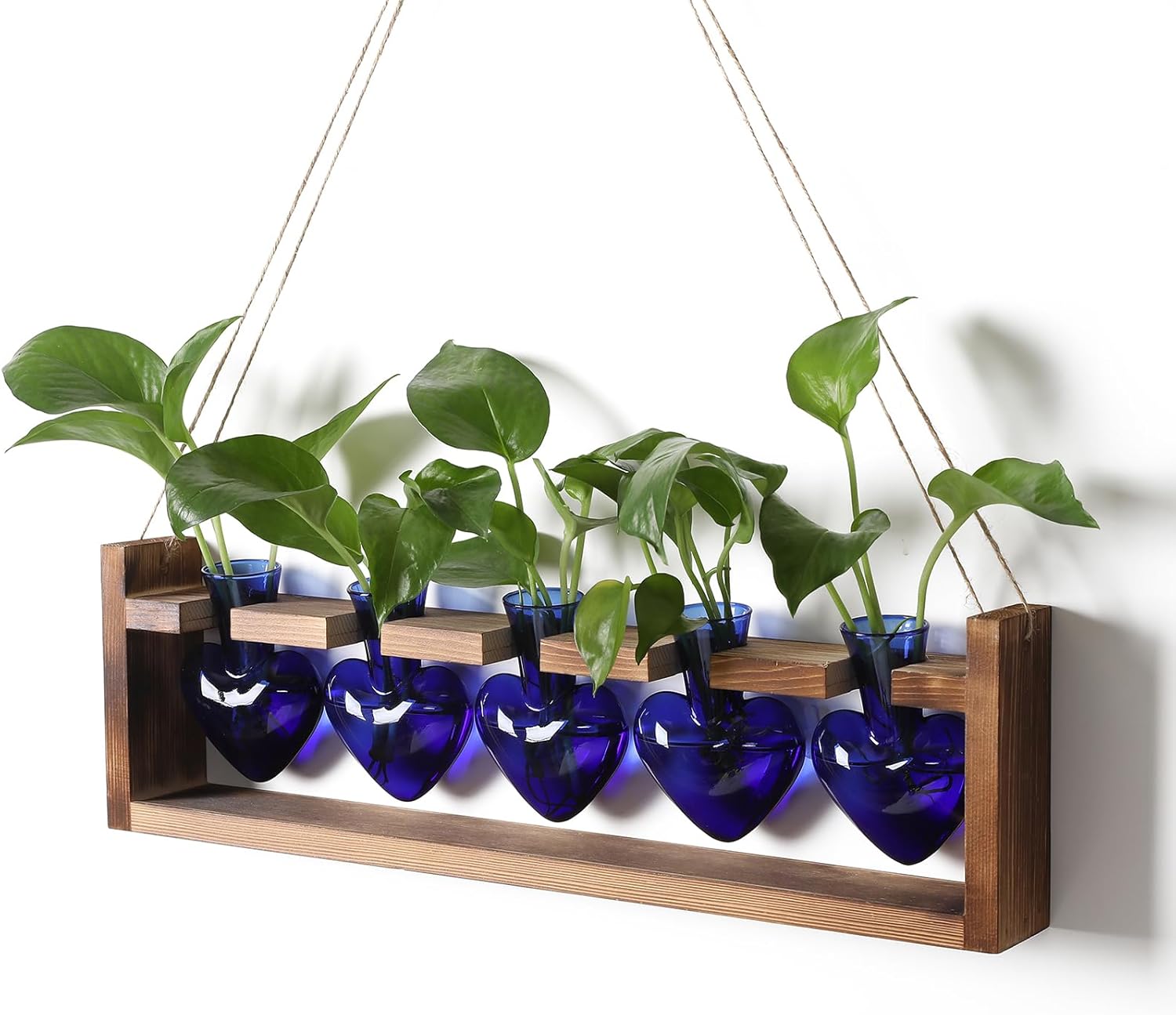 Plant Terrarium Hanging Propagation Stations Gift for Women Air Plants Holder with Wooden Stand Heart Glass