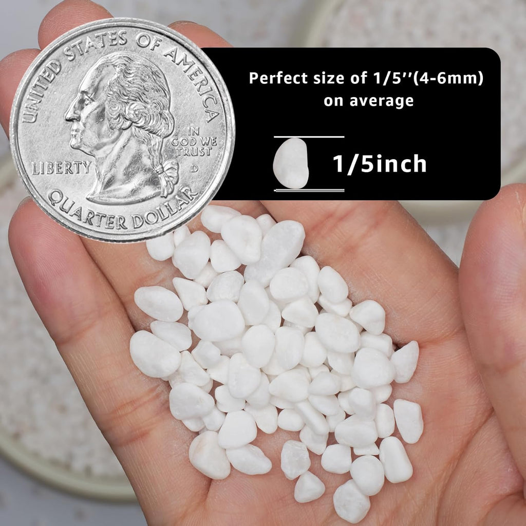1/5 Inch White Succulent Cactus Gravel, 10 lbs – Ideal for Succulent Plant Pots, Vase Fillers, Glass Containers, Aquariums, Patios, and Outdoor Gardening River Stones (White, 10 Pounds)