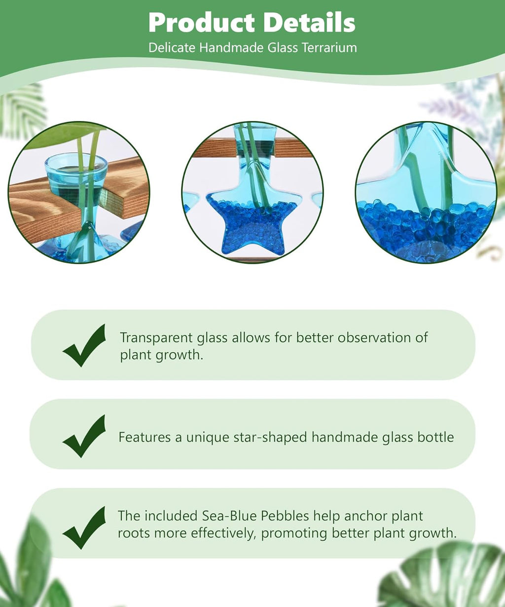 Nacome Plant Terrarium with Wooden Stand,Star-Shaped Planter Propagation Station Glass Vase for Home Office Decor- Unique Gifts for Plant Lovers Women Mom(Blue)
