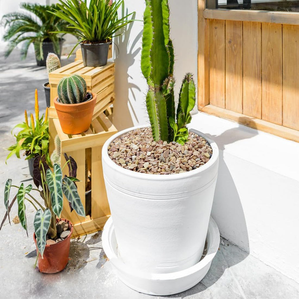 10LB Succulent and Cactus Gravel Pebbles, 1/5 Inch Natural Decorative Polished Stones, River Rocks for Plants, Vases, Aquariums, Terrarium and Outdoor Gardening,Peach