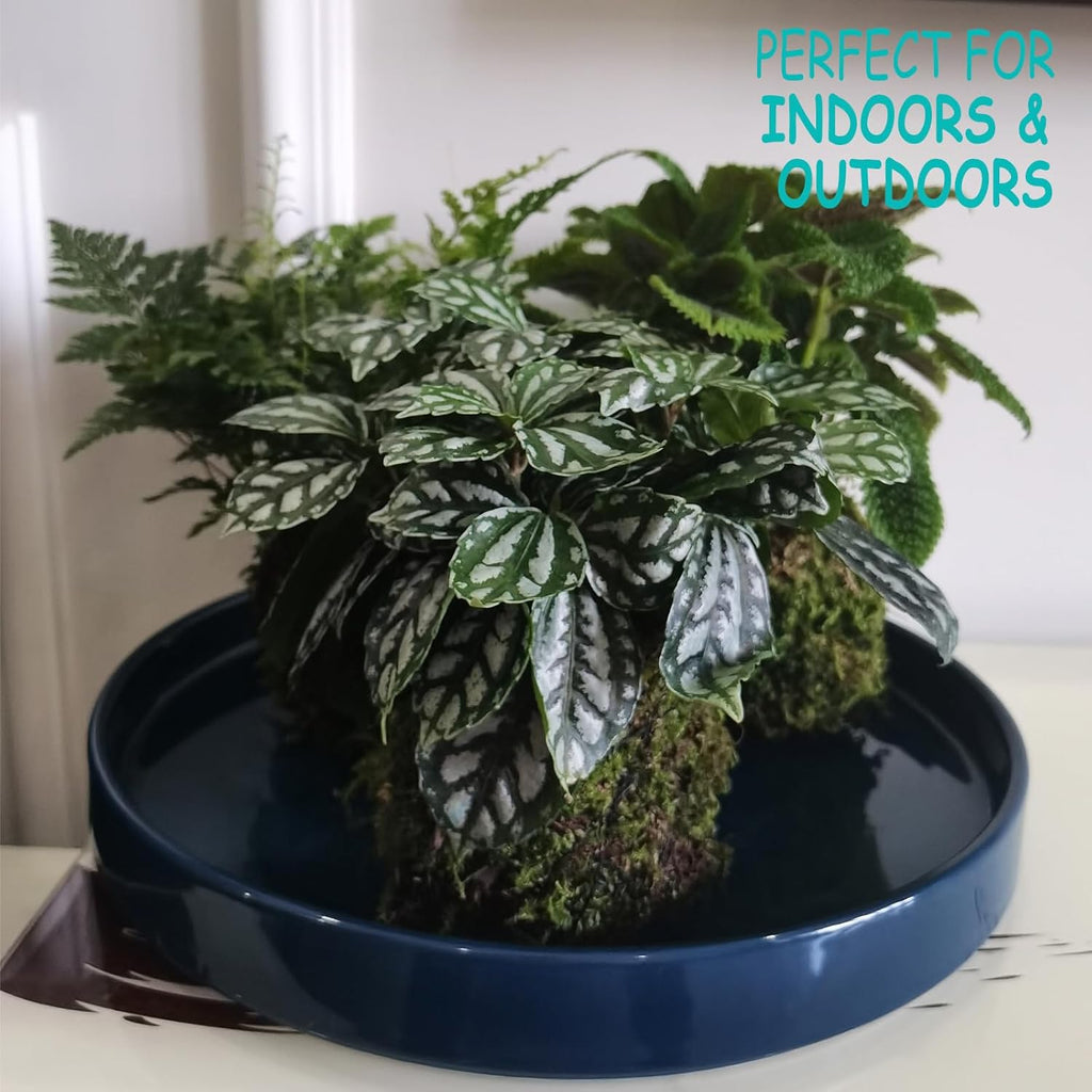 Blue Ceramic Pot Saucer - Drainage Tray for Indoor and Outdoor Flower Plant Pots and Planters, 12 Inch