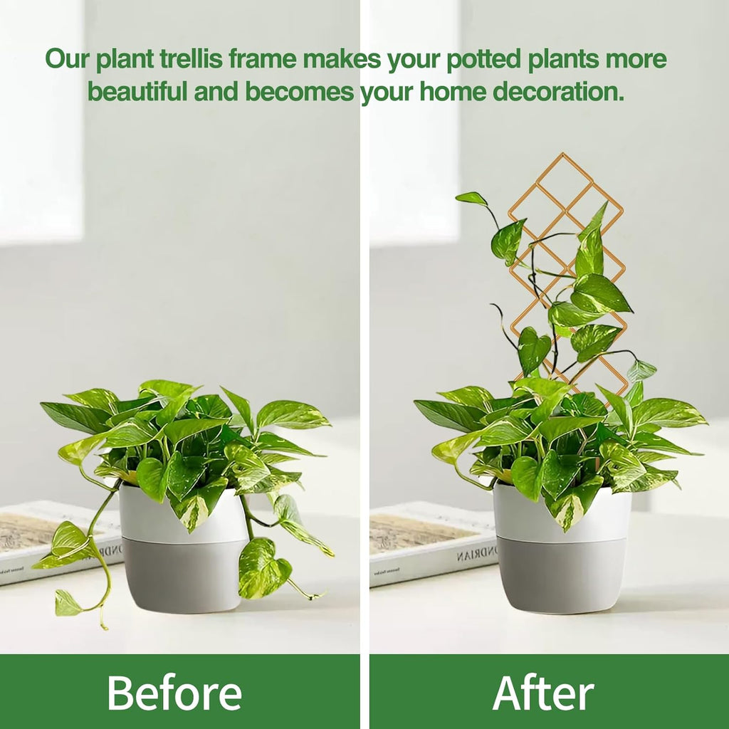 Metal Plant Trellis Indoor, 16.36 inch Small Trellis for Potted Plants Geometric Shape Lattice for Ivy Vines Hoya Houseplants Flower Support 2 Pack