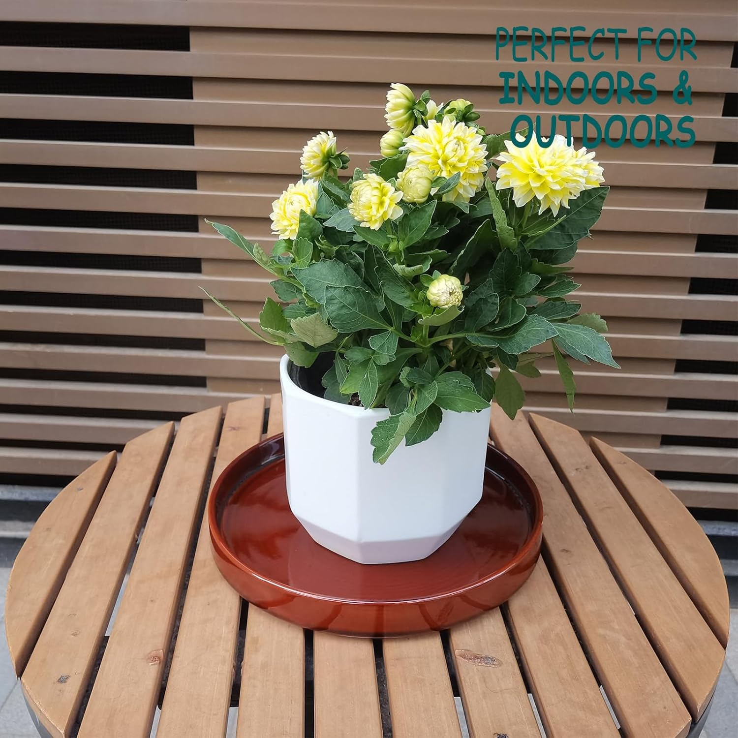 Ceramic Plant Saucer 10 Inch, Round Plant Trays for Indoors/Outdoors, Flower Pot Saucers for Holding Water Drips and Soil, Ceramic Drainage Tray for Plant Pot (Brown)