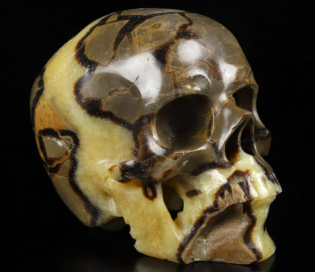 Skullis 5.0" Dragon Septarian Stone Hand Carved Crystal Skull, Super Realistic, Crystal Healing, Hand Carved Gemstone Fine Art Sculpture, Reiki Healing Stone Statue.1133 Z8