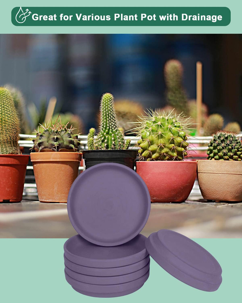 vensovo 6 Inch Purple Terracotta Plant Saucer Pots Tray - 6 Pcs Round Planter Saucers for Indoor & Outdoor Plants, Small Clay Trays Perfect for 5 Inch 5.5 Inch 6 Inch Flower Pot