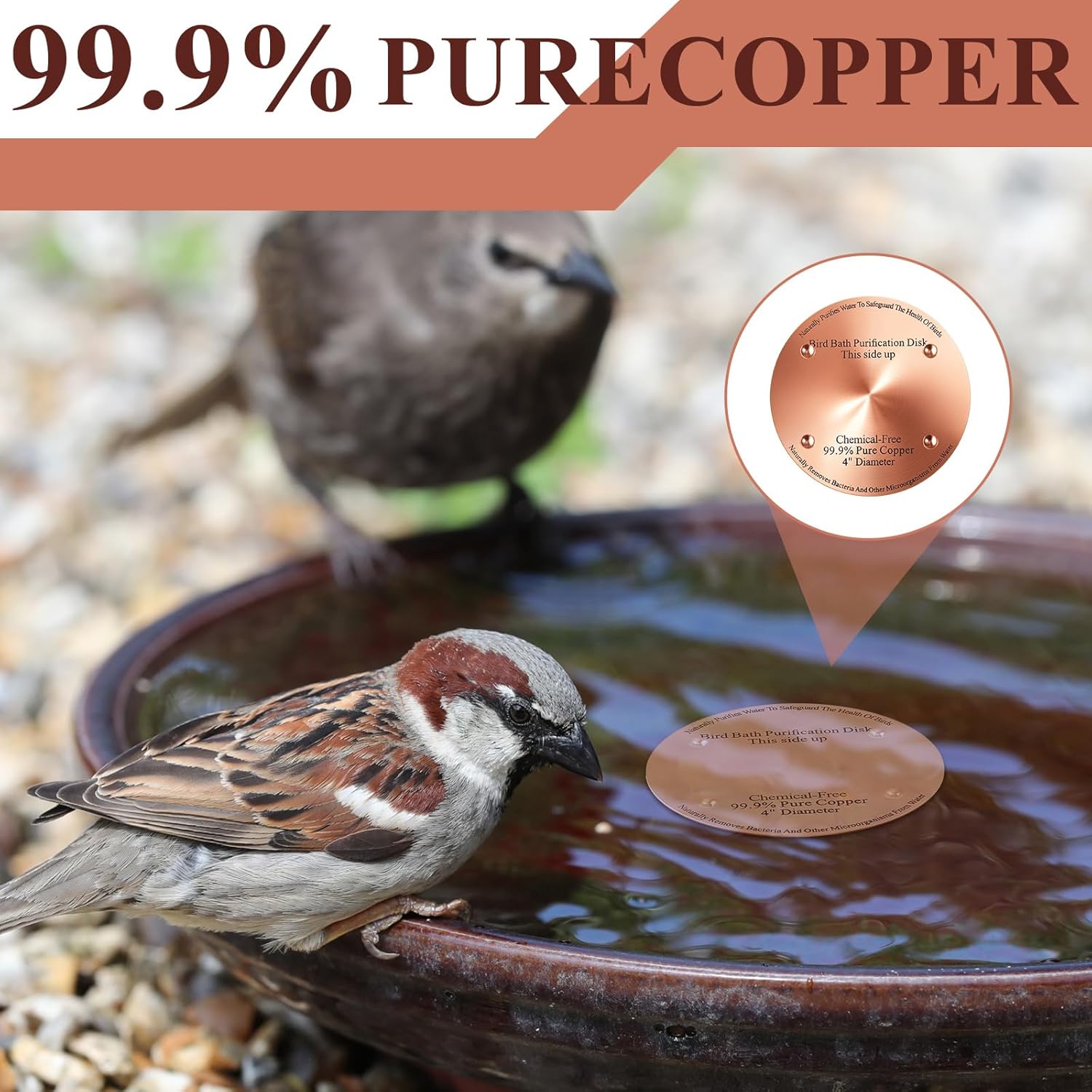 8 Pcs Bird Bath Copper Disk, 0.6mm Thick Reinforced 99.99% Pure Copper Birdbath Purification Disk, with 4 Point Support for Outdoor Birdbaths Bowls Cleaner, 4 Inch (Classic)