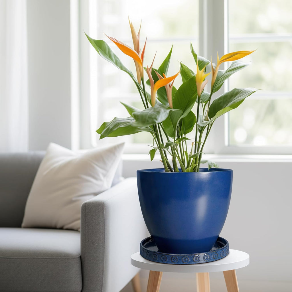 Plant Saucer 9.3 Inch - Ceramic Plant Saucer for Indoors Outdoors Plant Water Catcher Tray Plant Drainage Tray Decorative Flower Pot Saucer Plant Plates Blue