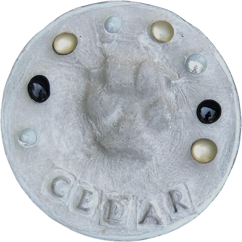 DIY Paw Print Stepping Stone Kit, Pet Memorial Stone, Pet Garden Stone (8 Inch)