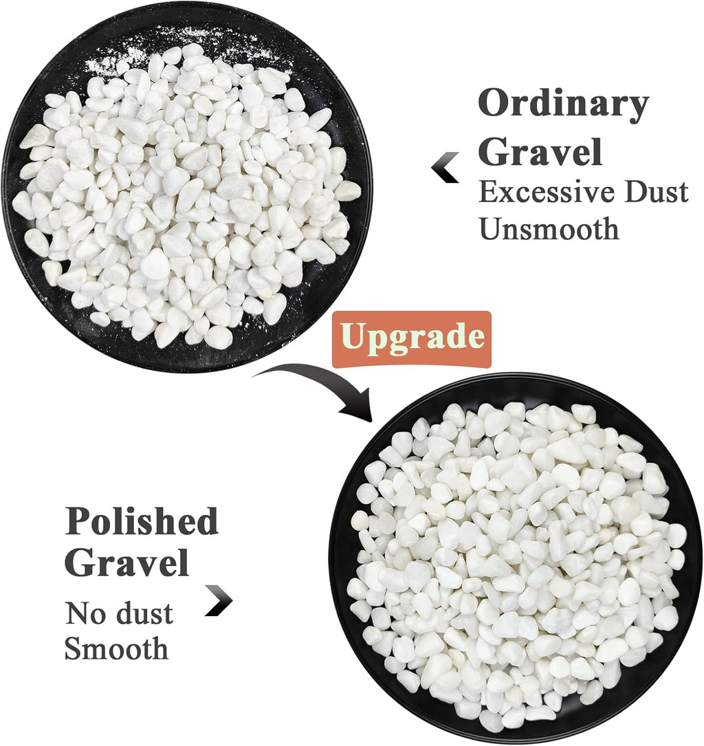 10 lbs White Pebbles for Indoor Plants, 3/8 Inch Decorative White Stones. Polished River Rocks for Potted Plants Vase Cactus Bird Bath and Outdoor Garden Landscaping