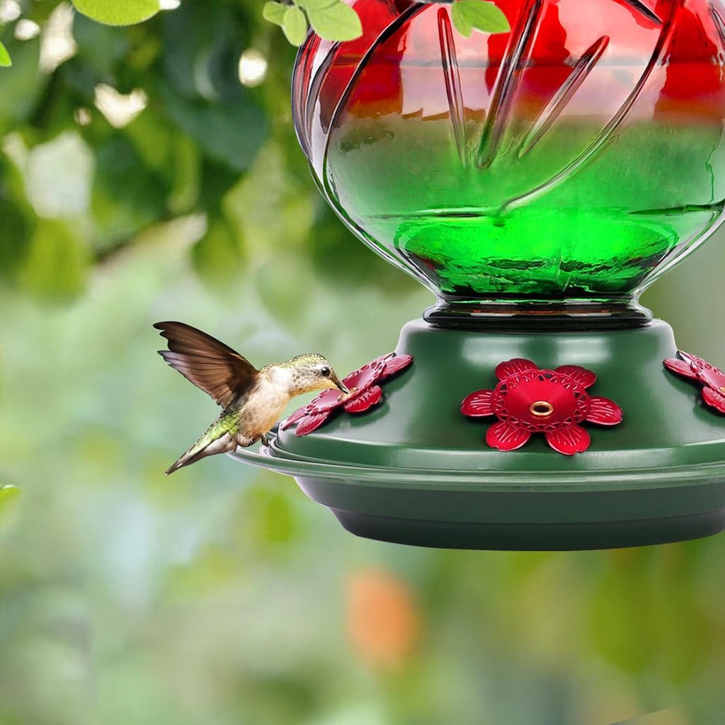 BOLITE Hummingbird Feeder, Glass Hummingbird Feeders for Outdoors Hanging, 22 Ounce, Five Feeding Ports with Perch, Peony Flower Shape, Red and Green, Gifts for Women Men, Gifts for Mom Dad