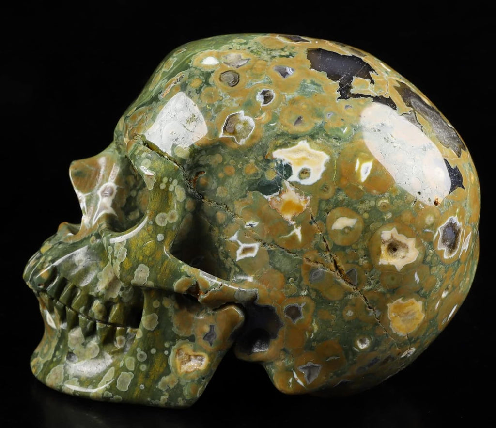 Skullis 5.0” Rainforest Jasper Hand Carved Crystal Skull, Super Realistic, Crystal Healing, Hand Carved Gemstone Fine Art Sculpture, Reiki Healing Stone Statue.377 Z8