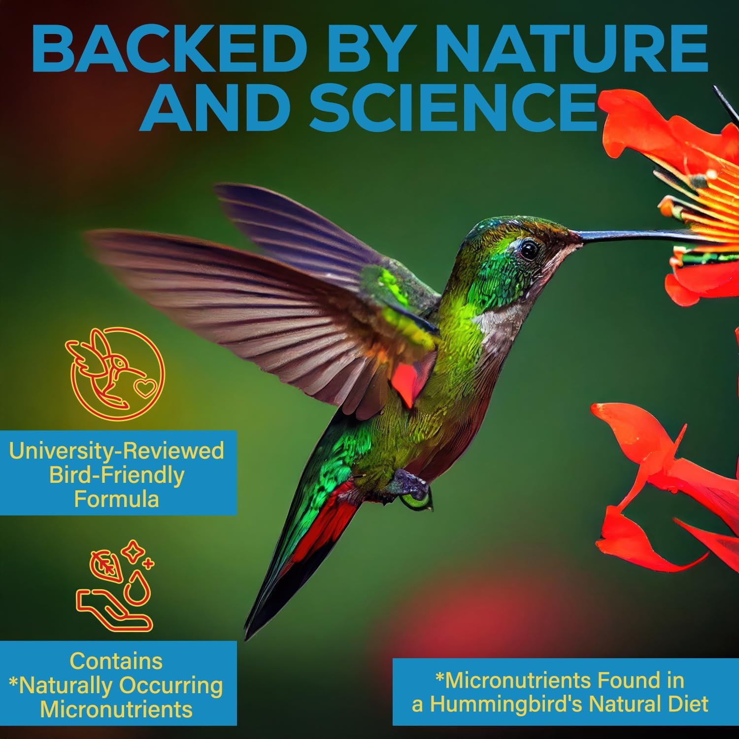 Hummingbird Nectar Extender - Keeps Nectar Fresh for 2+ Weeks, 60+ Uses, Made in USA, Safe & Natural Nectar Defense, Bird Safe Formula, for All Hummingbird Nectar & Feeders - 1oz