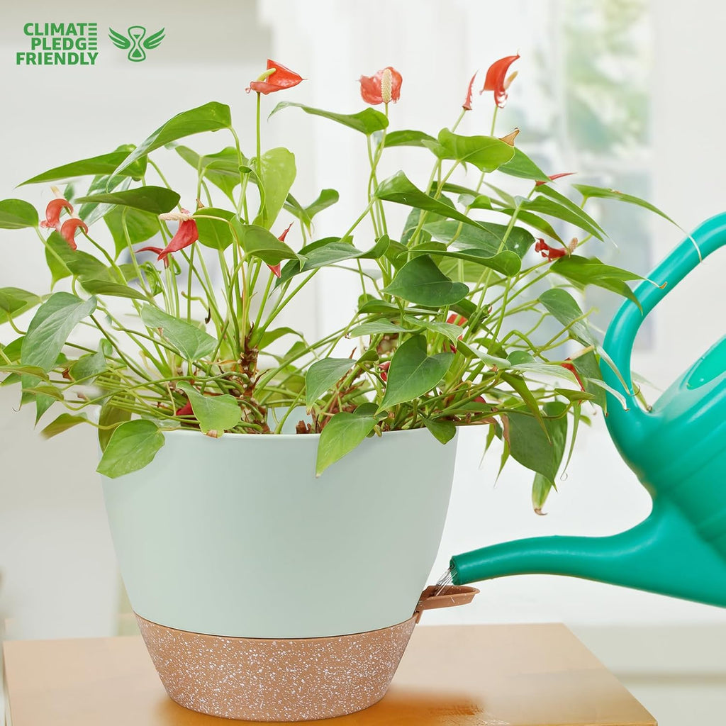 12 inch Large Self Watering Plant Pots, Flower Pots Planters with Multi Mesh Drainage Holes for Indoor Outdoor Garden Plants and Flowers