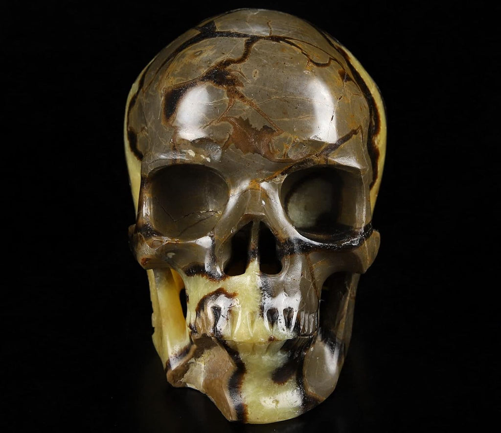 Skullis 5.0" Dragon Septarian Stone Hand Carved Crystal Skull, Super Realistic, Crystal Healing, Hand Carved Gemstone Fine Art Sculpture, Reiki Healing Stone Statue.1133 Z8