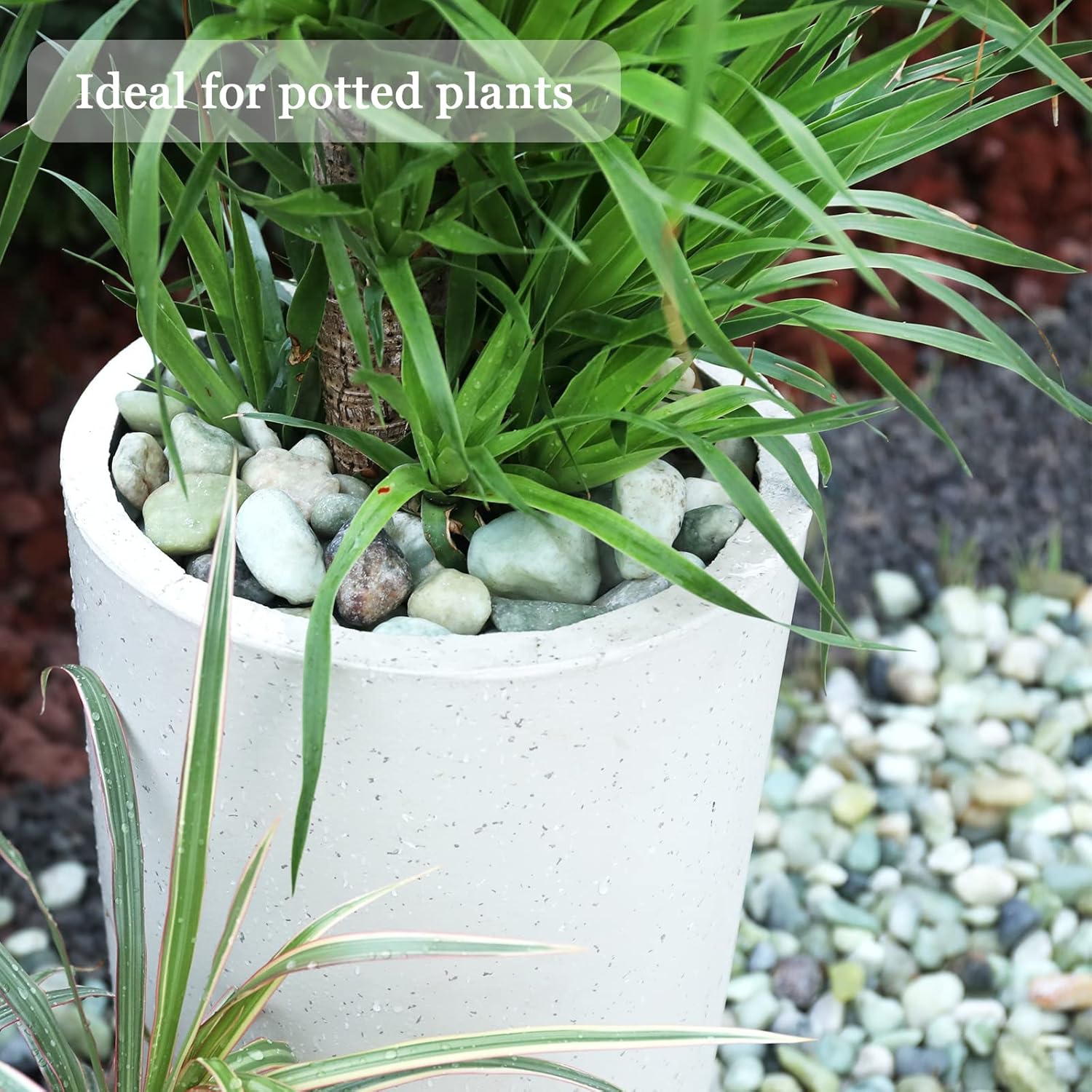 11lbs Natural River Rocks, Polished Pebbles for Plants Garden, 1-2 inch Decorative Jade Stones, Ideal for Fish Tank, Vases, Crafting, Home Decor and Garden Landscaping Rocks,Jade