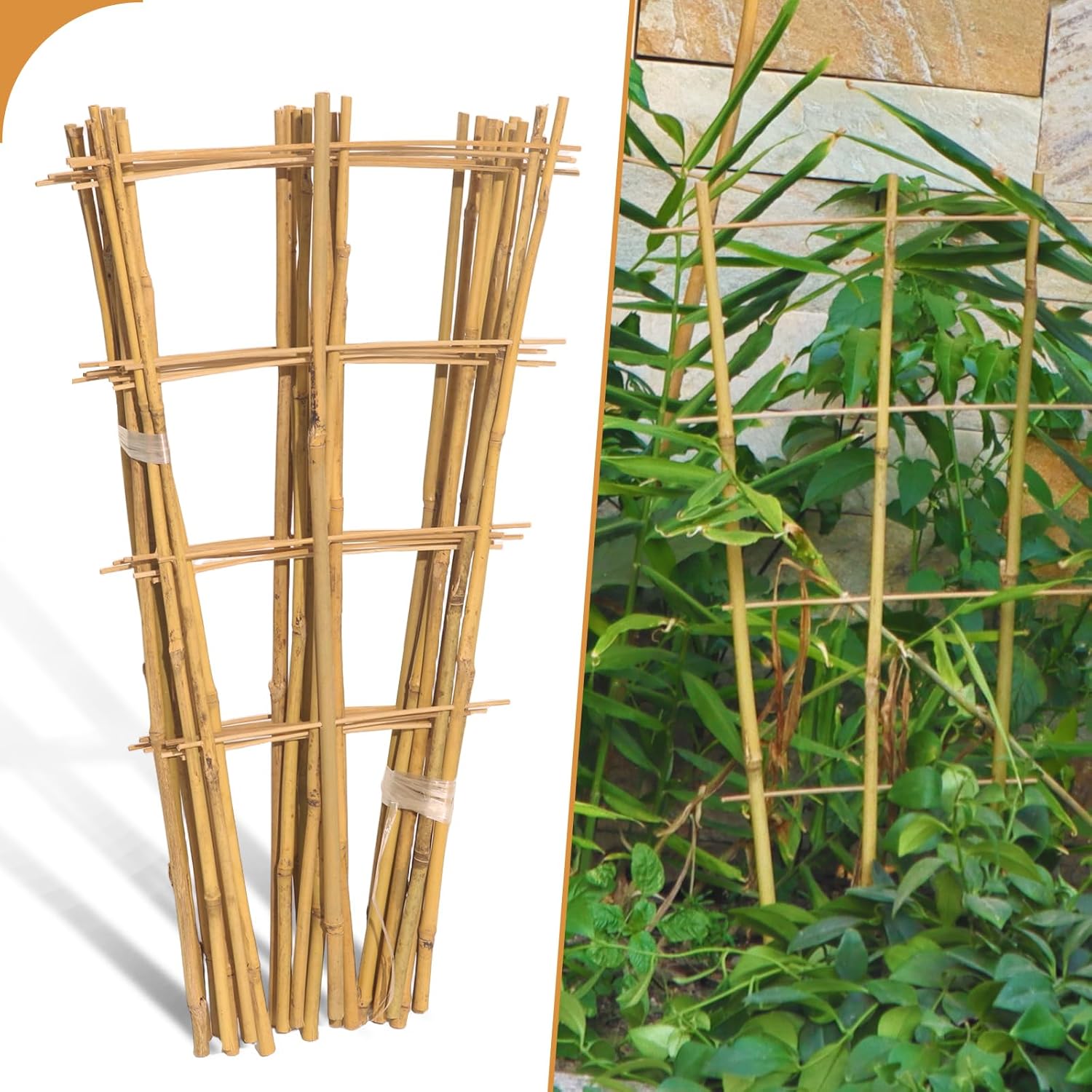10 Pack 2ft Bamboo Trellis for Climbing Plants-Natural Garden Ladder Trellis, Fan -Shaped Support Trellis for Potted Plant Decor in Door