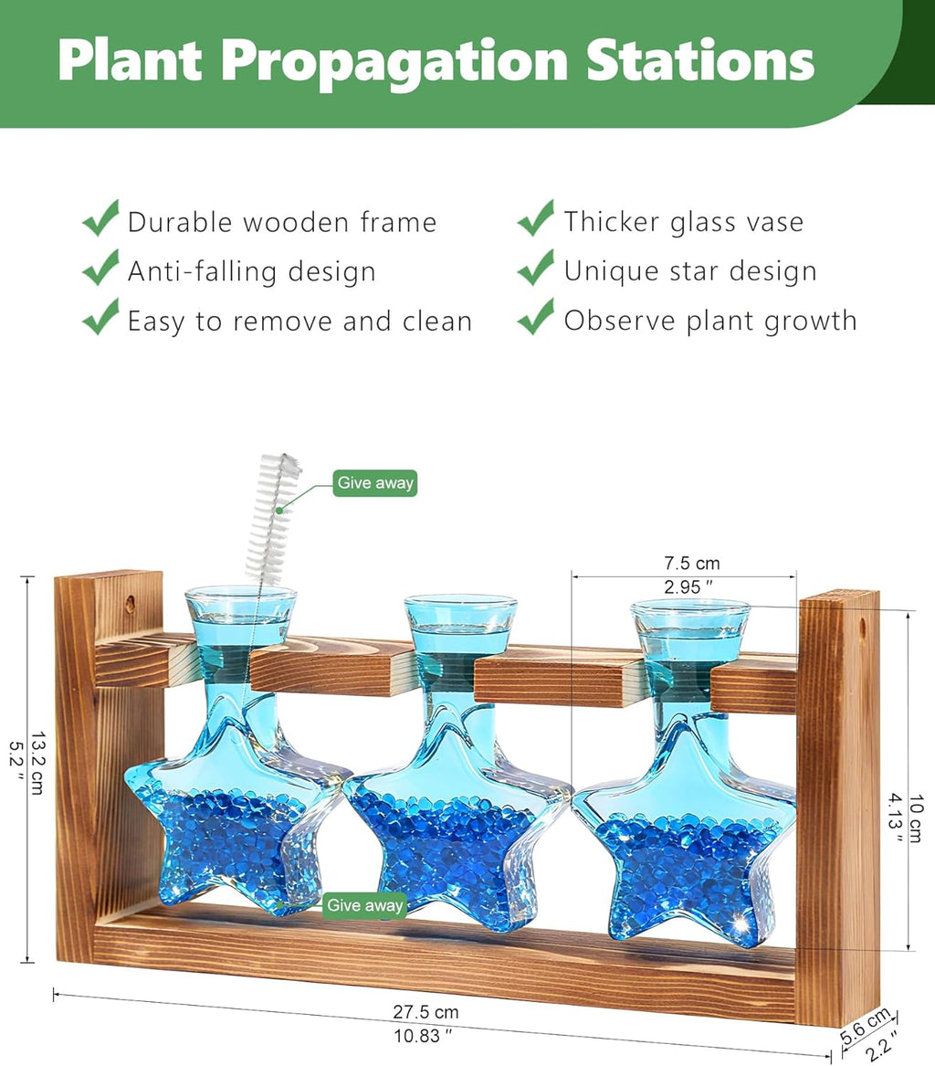 Nacome Plant Terrarium with Wooden Stand,Star-Shaped Planter Propagation Station Glass Vase for Home Office Decor- Unique Gifts for Plant Lovers Women Mom(Blue)