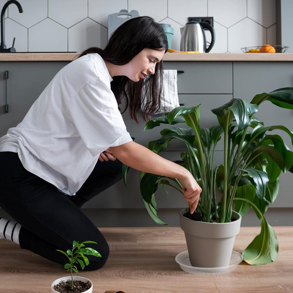 TITE Plant Saucer Heavy Large Planter Durable Thicker Plastic Plant Trays for Indoors and Outdoor,Plant Saucer Drip Trays (Transparent, 10 inch)