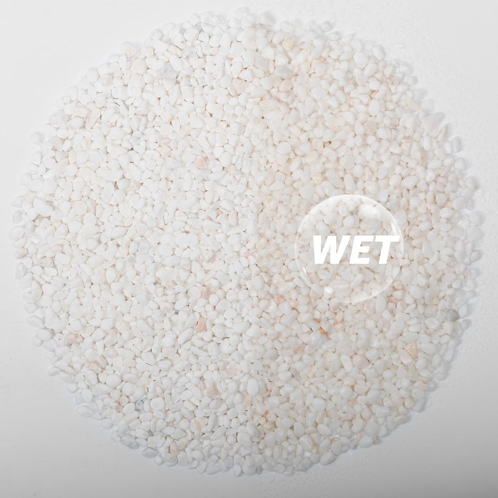 1/5 Inch White Succulent Cactus Gravel, 10 lbs – Ideal for Succulent Plant Pots, Vase Fillers, Glass Containers, Aquariums, Patios, and Outdoor Gardening River Stones (White, 10 Pounds)